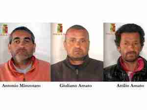 minzotaro amato amato