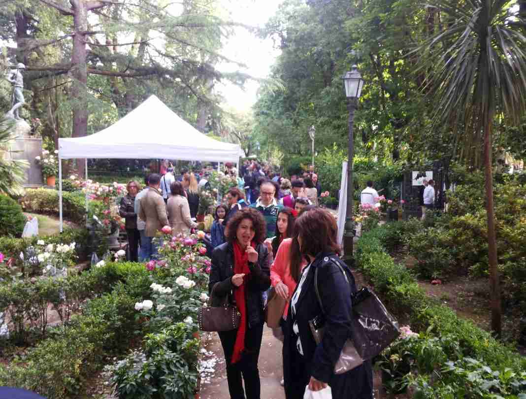 Grande successo per “Cittanova Floreale”