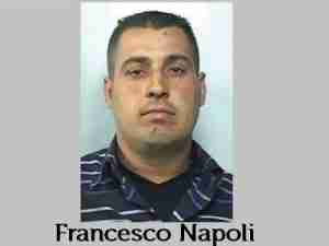 Francesco Napoli (pioli)