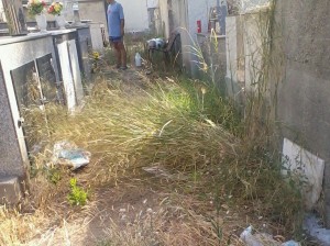 erba alta ok al cimitero