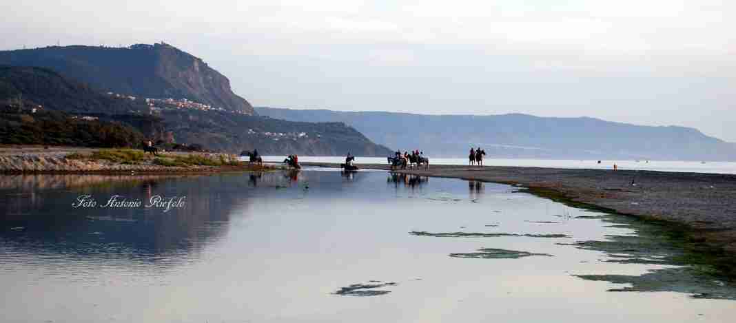Gioia: Viaggio fotografico al Petrace