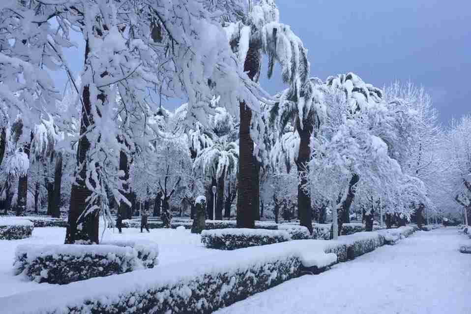 Cittanova: un risveglio con i fiocchi di neve