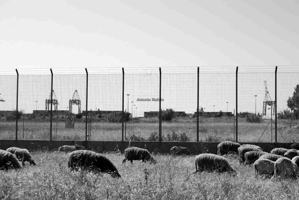 area industriale - antonio riefolo