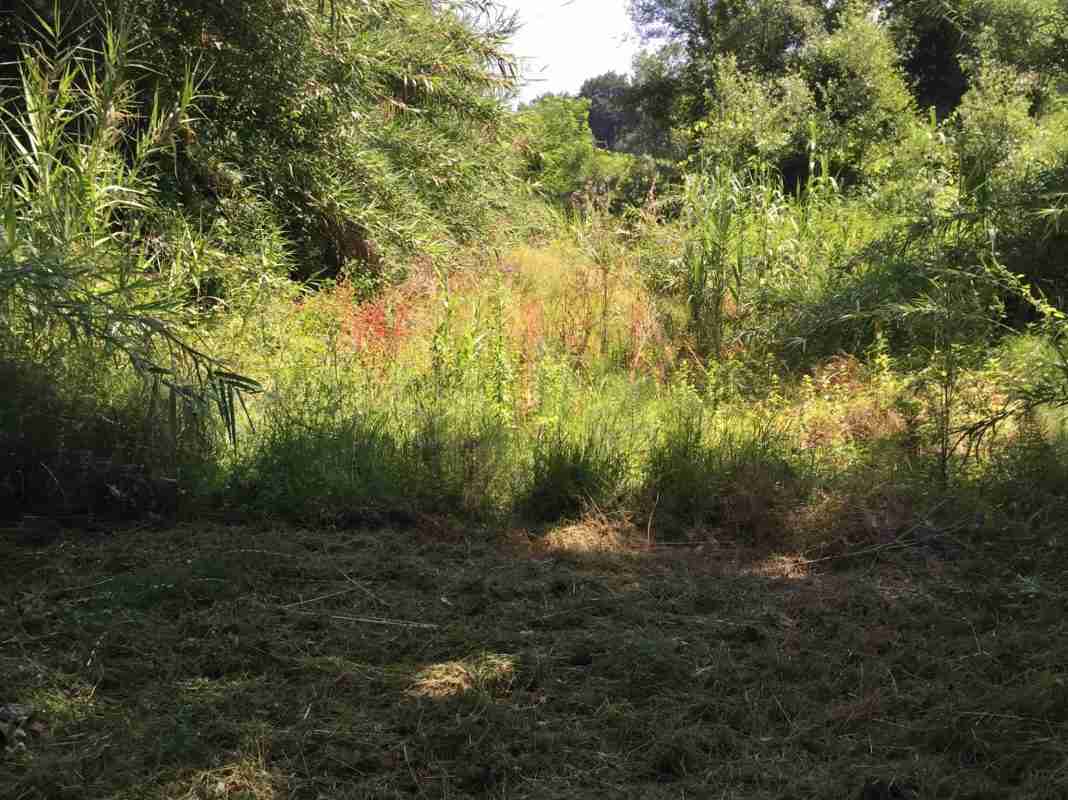 Insieme per Gioia annuncia: avviata a costo zero la bonifica dei pozzi di Gillè