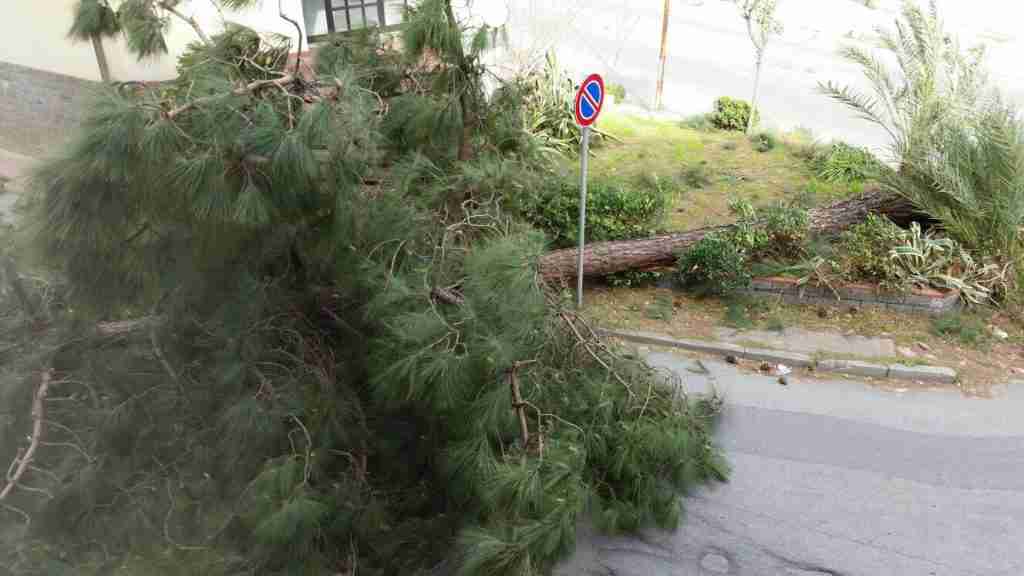 via Corrado Alvaro a Gioia Tauro