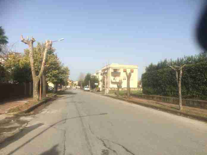 intervento di potatura in via Karl Marx intervento di potatura in via Karl Marx