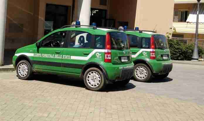 Il corpo forestale al comune di Gioia Tauro comune di Gioia Tauro