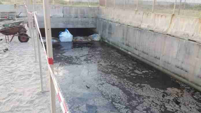 Protesta carriole 01