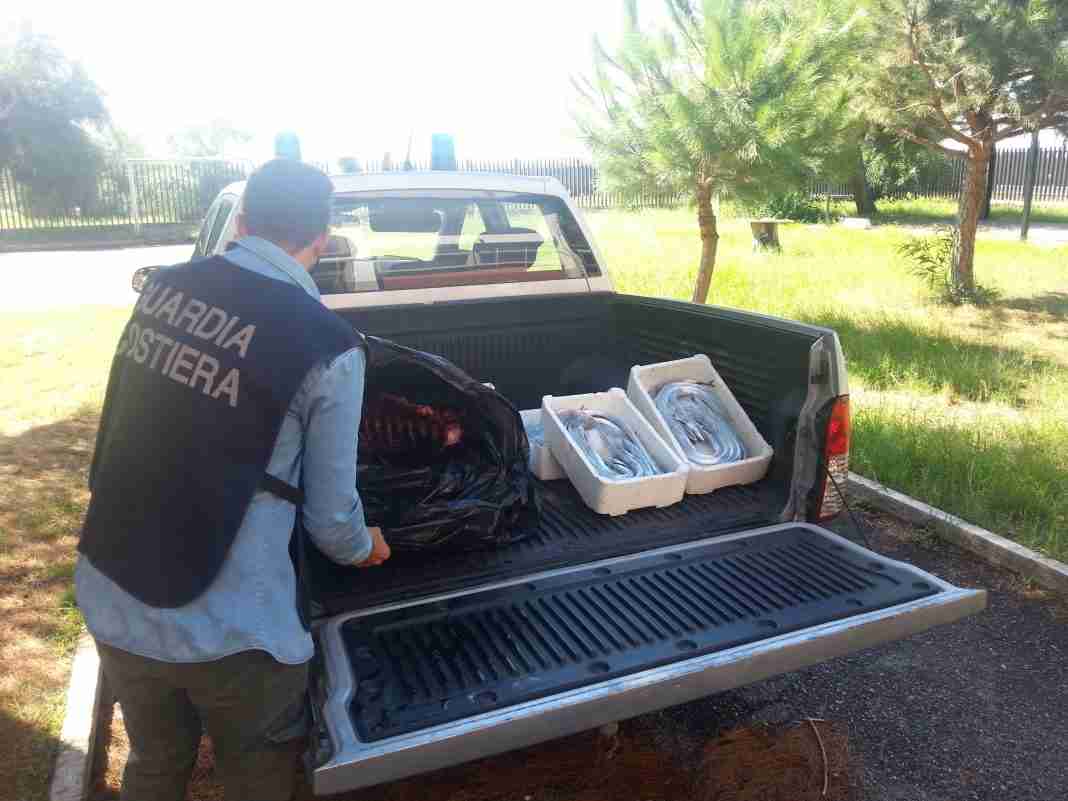 Capitaneria: 50 chili di pesce confiscato a Gioia Tauro