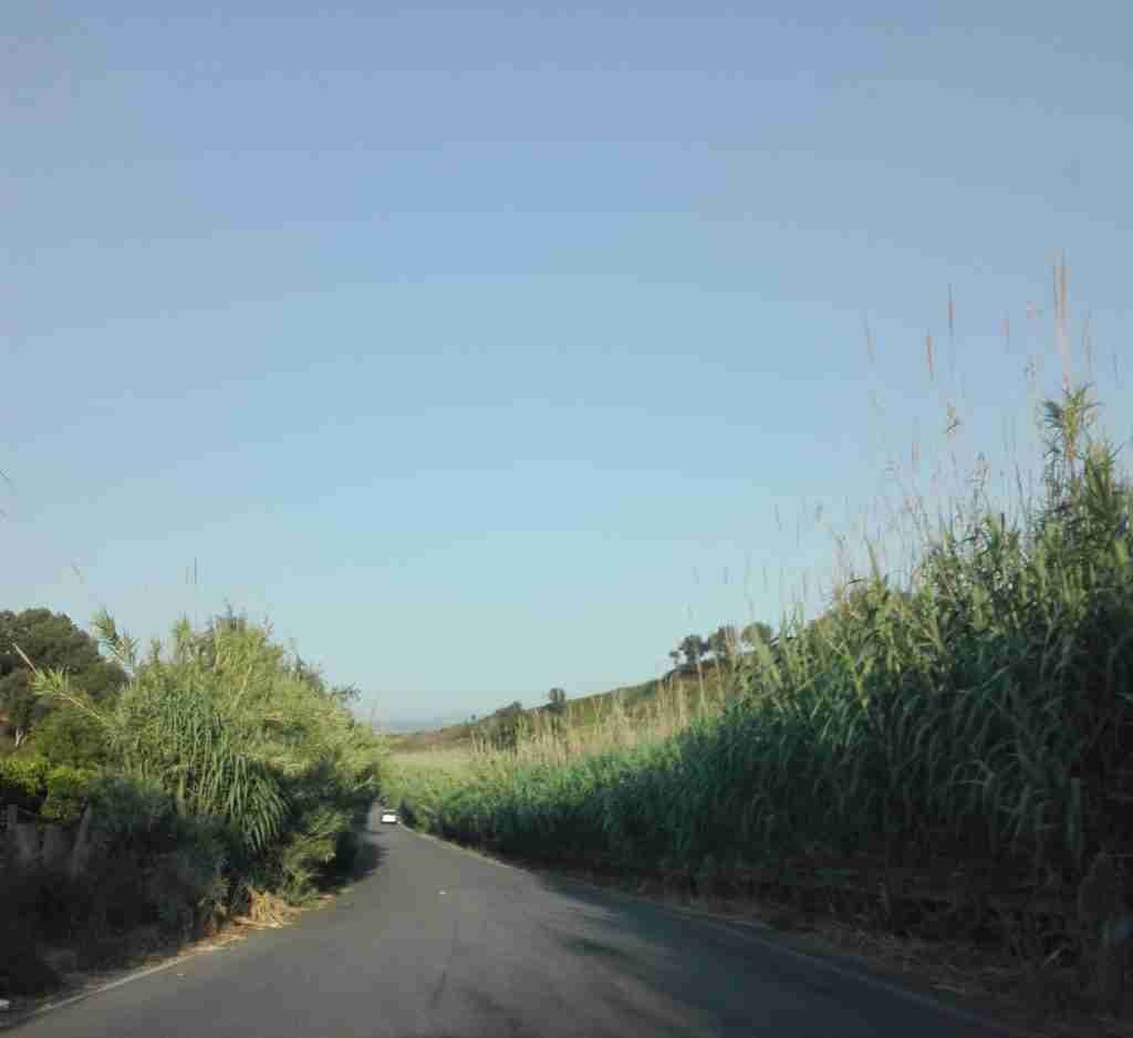 Strada verso il mare