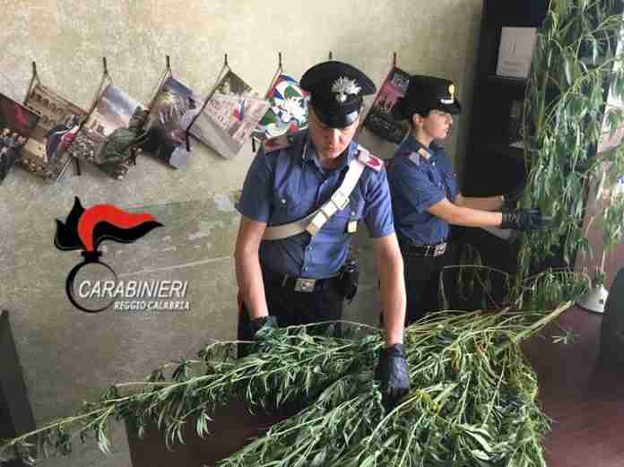 IMG-20170828-WA0007-1