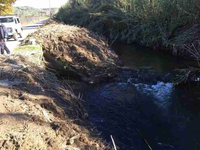 lo scarico abusivo nel torrente Budello