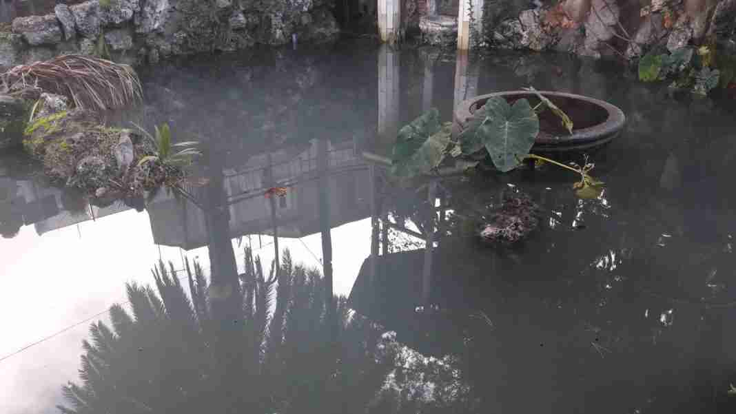 Polistena, avvelenata l’acqua del laghetto di Santa Maria