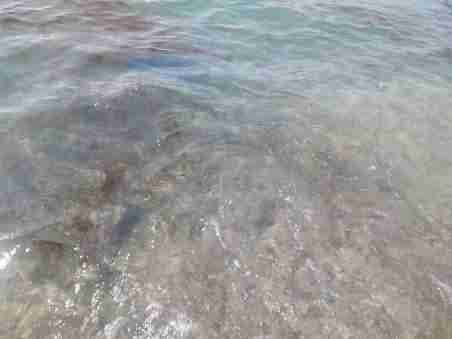 Condotta “killer” a Gioia Tauro, la denuncia del CDMT