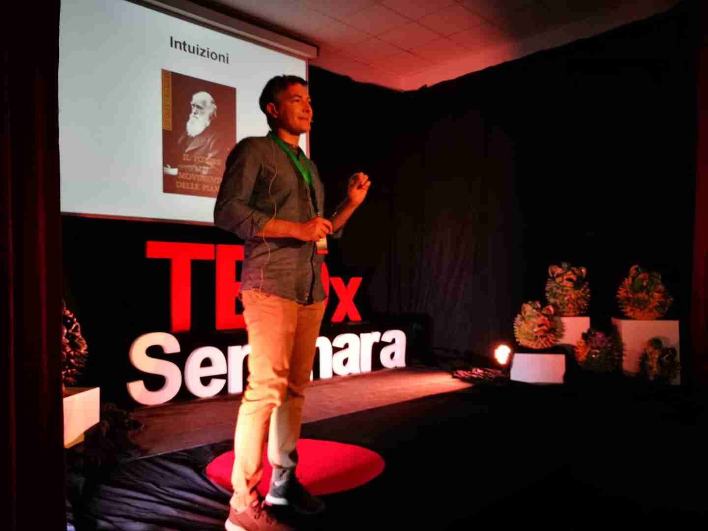 Massimiliano Capalbo