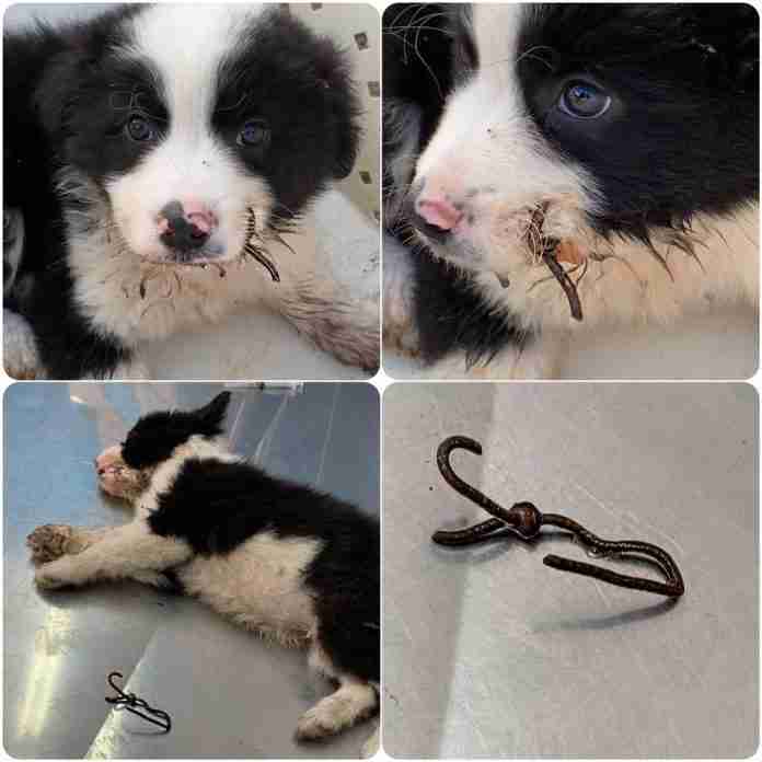 73458925_947468595610395_1952653975719247872_n