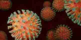 Coronavirus Calabria: + 1.624 casi e 5 decessi nelle ultime 24 ore
