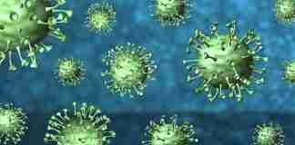 Coronavirus, stabili i contagi in Calabria. Sono 1.329 i nuovi positivi