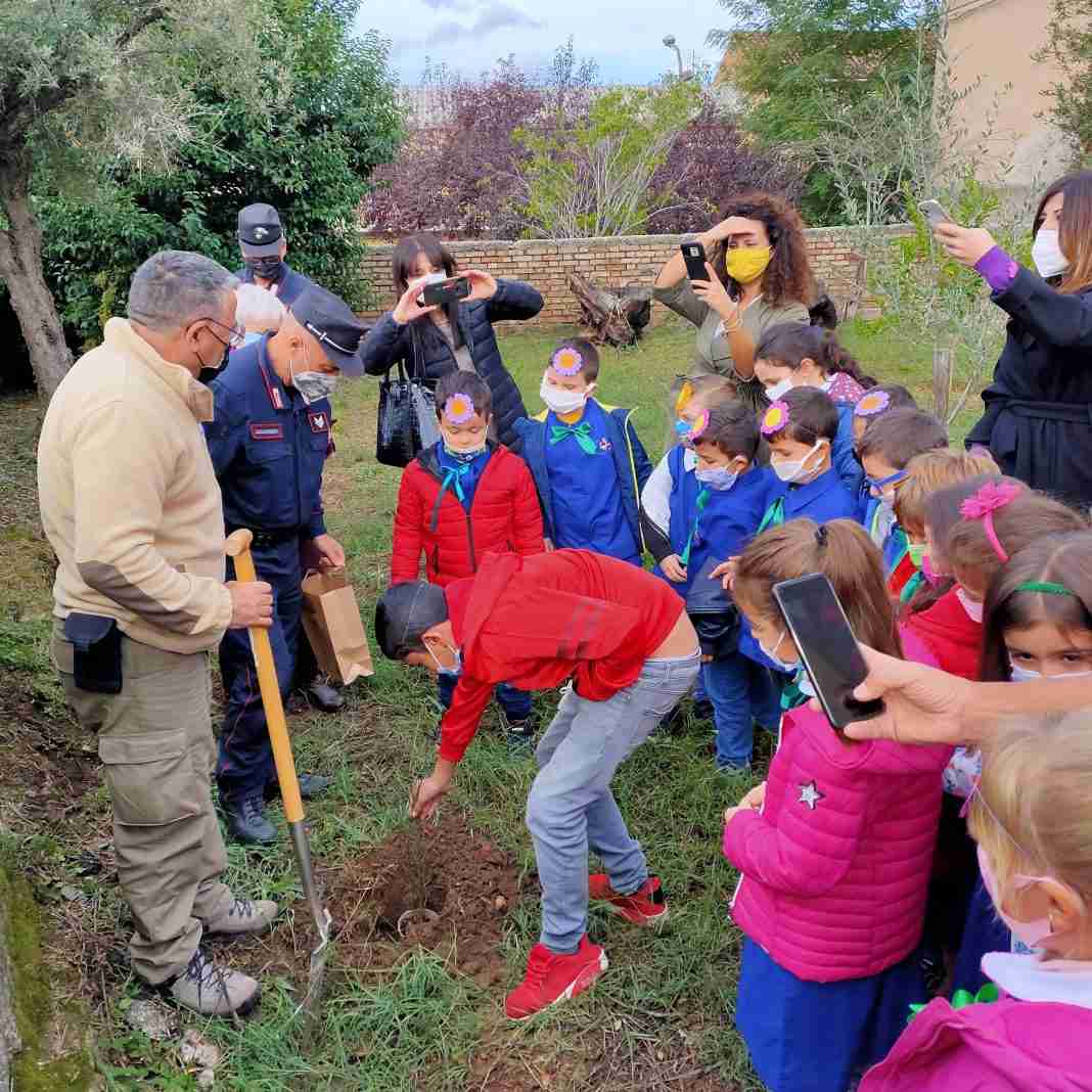 “Un albero per il futuro”: i bambini di Laureana con amore cercano di salvare la nostra terra
