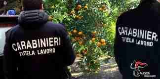 Sfruttamento dei braccianti nella Piana di Gioia Tauro, 4 arresti