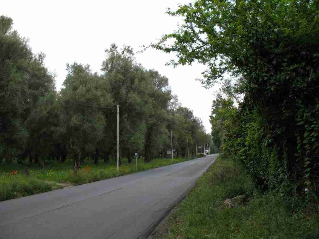 Sp1 Gioia Tauro-Locri, l’U.Di.Con. Calabria chiede interventi per la sicurezza stradale