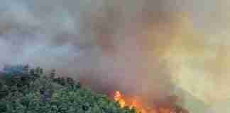 In un mese domati 3.200 incendi in Calabria