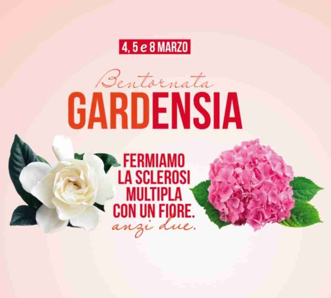 Torna anche a Palmi la raccolta fondi a sostegno della ricerca sulla sclerosi multipla