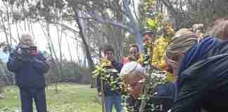 In ricordo di Peppe Bova: un albero ora cresce in sua memoria