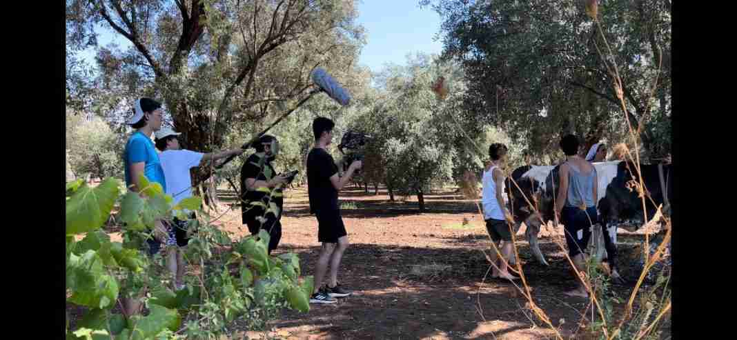 Il Festival NABA Cinema Awards parla calabrese: in finale il corto girato tra Pizzo e l’Aspromonte