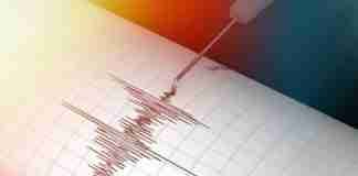 Terremoto nella Piana di Gioia Tauro