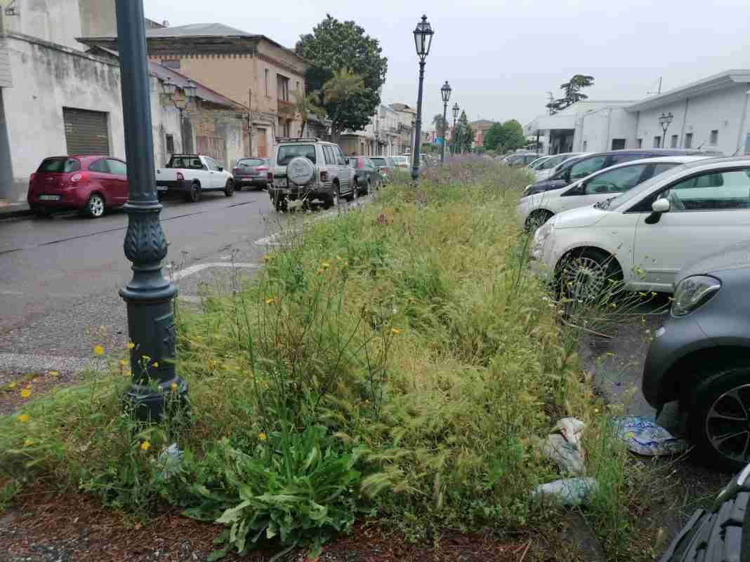 Gioia Tauro, “In Movimento” denuncia il degrado del verde pubblico della stazione FS
