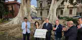 Reggio Celebra la bellezza del patrimonio arboreo del Lungomare Falcomatà