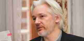 Julian Assange sarà cittadino onorario di Cinquefrondi