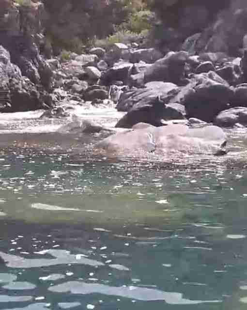 Palmi, scoperta dalla polizia locale una fogna che scarica in mare – VIDEO