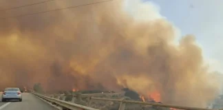 Incendio in Autostrada: chiuso il tratto tra Bagnara e Scilla