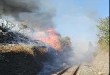 Calabria, scatta la fase di massima allerta incendi: dal 15 giugno al 15 ottobre divieti e prescrizioni in tutta la regione