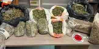 Reggio, arrestato un uomo con 10 kg di marijuana