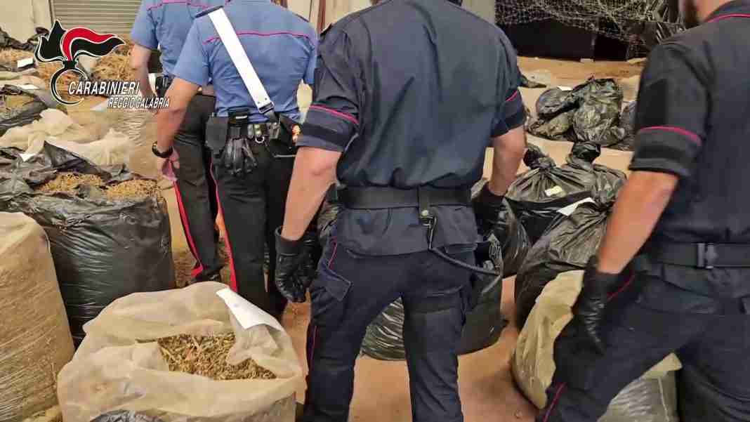 San Ferdinando, maxi sequestro di cannabis nella zona industriale