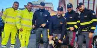 Polistena, salvato un cane che vagava sulla Strada Jonio-Tirreno