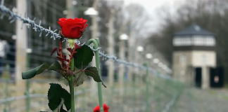 Città metropolitana e Comune di Reggio Calabria celebrano le vittime della Shoah