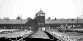 Lo sterminio della Shoah