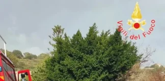 Dramma sulle strade calabresi: 4 giovani hanno perso la vita in un incidente sulla 106