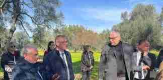 Rosarno, oggi la consegna dei lavori di riqualificazione del Parco Medma