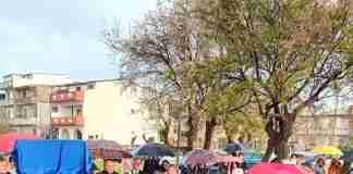 San Ferdinando, intitolato un giardino pubblico a Pasquale Severino