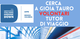 L’AIPD cerca accompagnatori di viaggio volontari a Gioia Tauro