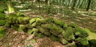 Aspromonte, nuovi ritrovamenti lungo antiche mura romane