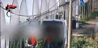 Producevano sostanze stupefacenti simulando la coltivazione di canapa sativa, 11 arresti nella Piana