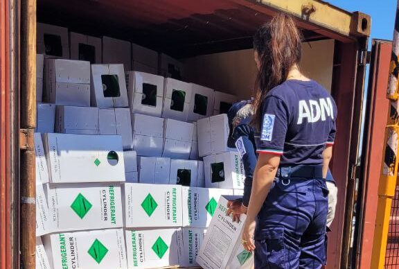 IMG_6174-e1723020724189