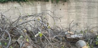 Palmi: sicurezza, manutenzione e decoro necessitano di fatti concreti