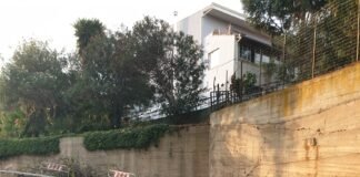 Crollo albero alla Cooperativa Oriente, la nota del consigliere Spampinato